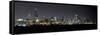 Chicago Blackhawks Skyline Lakefront-Patrick Warneka-Framed Stretched Canvas