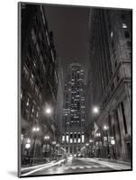 Chicago Board of Trade B W-Steve Gadomski-Mounted Photographic Print