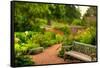 Chicago Botanic Garden Bench-Steve Gadomski-Framed Stretched Canvas