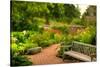 Chicago Botanic Garden Bench-Steve Gadomski-Stretched Canvas