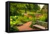 Chicago Botanic Garden Bench-Steve Gadomski-Framed Stretched Canvas