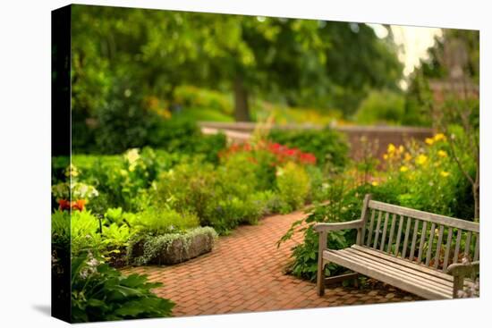 Chicago Botanic Garden Bench-Steve Gadomski-Stretched Canvas