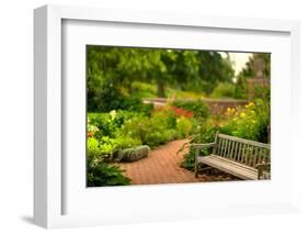 Chicago Botanic Garden Bench-Steve Gadomski-Framed Photographic Print