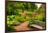 Chicago Botanic Garden Bench-Steve Gadomski-Framed Photographic Print