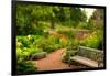 Chicago Botanic Garden Bench-Steve Gadomski-Framed Photographic Print