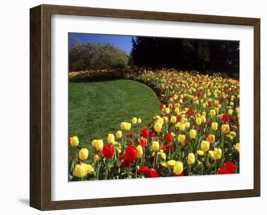 Chicago Botanic Garden, Illinois, USA-null-Framed Premium Photographic Print