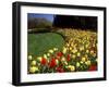 Chicago Botanic Garden, Illinois, USA-null-Framed Premium Photographic Print