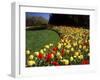 Chicago Botanic Garden, Illinois, USA-null-Framed Premium Photographic Print