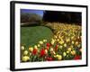 Chicago Botanic Garden, Illinois, USA-null-Framed Photographic Print