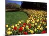 Chicago Botanic Garden, Illinois, USA-null-Mounted Photographic Print