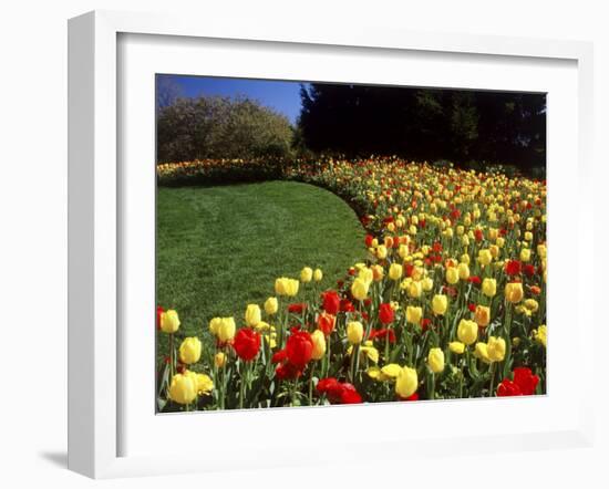 Chicago Botanic Garden, Illinois, USA-null-Framed Photographic Print