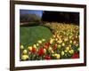 Chicago Botanic Garden, Illinois, USA-null-Framed Photographic Print