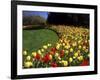 Chicago Botanic Garden, Illinois, USA-null-Framed Photographic Print