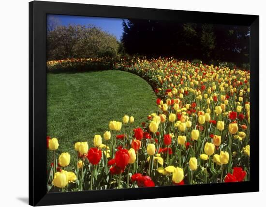 Chicago Botanic Garden, Illinois, USA-null-Framed Photographic Print