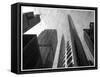 Chicago  city buildings-Patrick  J. Warneka-Framed Stretched Canvas