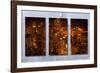 Chicago City Collage-Steve Gadomski-Framed Photographic Print