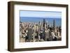 Chicago City Skyline and Lake Michigan, Chicago, Illinois, United States of America, North America-Amanda Hall-Framed Photographic Print