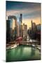 Chicago City View Afternoon-Steve Gadomski-Mounted Photographic Print