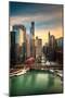 Chicago City View Afternoon-Steve Gadomski-Mounted Photographic Print