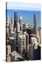 Chicago Cityscape-Fraser Hall-Stretched Canvas