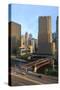Chicago Cityscape-Fraser Hall-Stretched Canvas