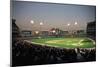 Chicago Comiskey Park-Ira Rosen-Mounted Art Print