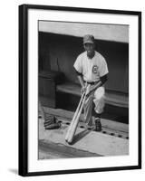 Chicago Cub's Ernie Banks, Stooping in the Dug-Out Holding Two Bats Against Cincinnati Reds-John Dominis-Framed Premium Photographic Print