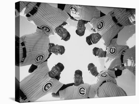 Chicago Cubs' Eight Coaches-Francis Miller-Stretched Canvas