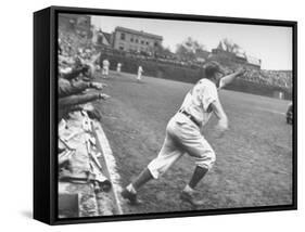 Chicago Cubs Manager Charlie Grimm Racing on to the Field Screaming-null-Framed Stretched Canvas