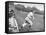 Chicago Cubs Manager Charlie Grimm Racing on to the Field Screaming-null-Framed Stretched Canvas
