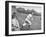 Chicago Cubs Manager Charlie Grimm Racing on to the Field Screaming-null-Framed Photographic Print