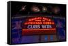 Chicago Cubs Win Fireworks Night-Steve Gadomski-Framed Stretched Canvas