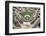 Chicago Cubs Wrigley Field Sports-Mike Smith-Framed Art Print