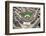 Chicago Cubs Wrigley Field Sports-Mike Smith-Framed Art Print