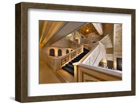 Chicago Cultural Center-Steve Gadomski-Framed Photographic Print