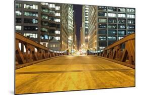 Chicago Downtown at Night-TEA-Mounted Photographic Print