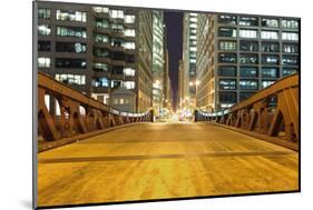 Chicago Downtown at Night-TEA-Mounted Photographic Print