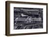 Chicago Icons BW-Steve Gadomski-Framed Photographic Print