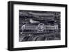 Chicago Icons BW-Steve Gadomski-Framed Photographic Print