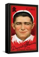 Chicago, IL, Chicago Cubs, David Shean, Baseball Card-Lantern Press-Framed Stretched Canvas
