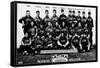 Chicago, IL, Chicago Cubs, Team Photograph, Baseball Card-Lantern Press-Framed Stretched Canvas