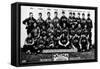 Chicago, IL, Chicago Cubs, Team Photograph, Baseball Card-Lantern Press-Framed Stretched Canvas