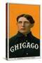 Chicago, IL, Chicago White Sox, Fielder Jones, Baseball Card-Lantern Press-Stretched Canvas