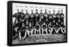 Chicago, IL, Chicago White Sox, Team Photograph, Baseball Card-Lantern Press-Framed Stretched Canvas
