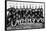 Chicago, IL, Chicago White Sox, Team Photograph, Baseball Card-Lantern Press-Stretched Canvas