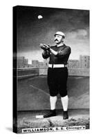 Chicago, IL, Chicago White Stockings, Ned Williamson, Baseball Card-Lantern Press-Stretched Canvas