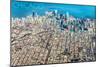 Chicago, Illinois - Aerial of Downtown-Lantern Press-Mounted Art Print