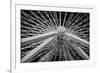 Chicago, Illinois. Ferris Wheel at Navy Pier on Lake Michigan-Rona Schwarz-Framed Photographic Print