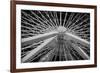 Chicago, Illinois. Ferris Wheel at Navy Pier on Lake Michigan-Rona Schwarz-Framed Photographic Print