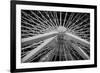 Chicago, Illinois. Ferris Wheel at Navy Pier on Lake Michigan-Rona Schwarz-Framed Photographic Print